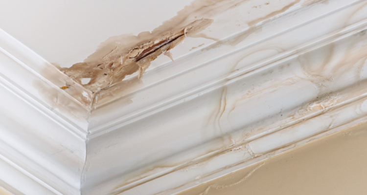 3 Reasons Your Roof Might Be Leaking