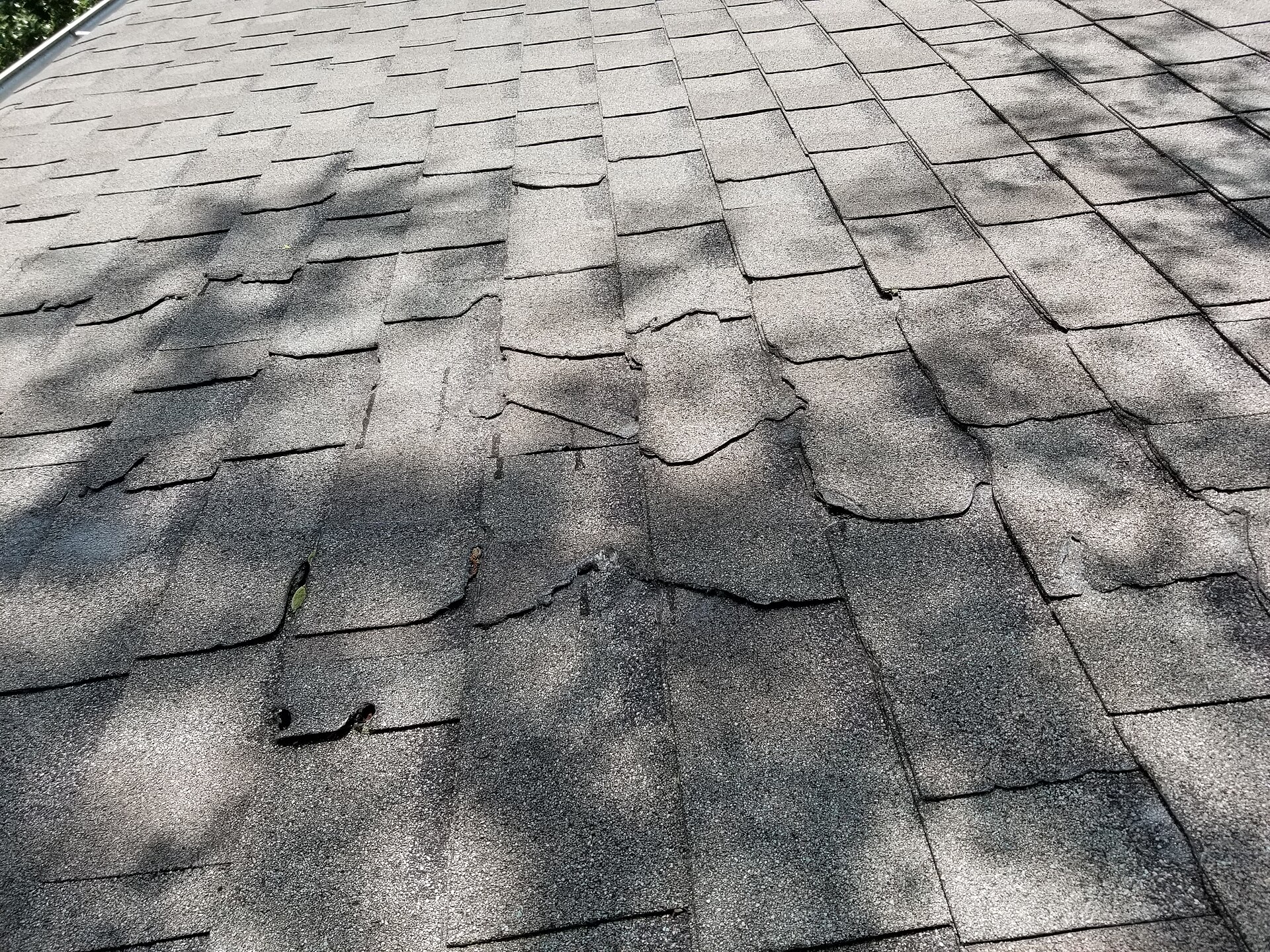 Close-up of hail damage on roof shingles with visible impact marks and granule loss