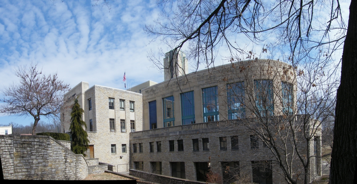 Excelsior Springs Missouri residential street with mix of historic and established homes under mature tree canopy
