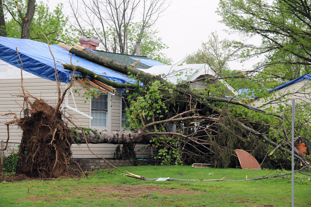 Keep Your Home and Family Safe During Storm Season