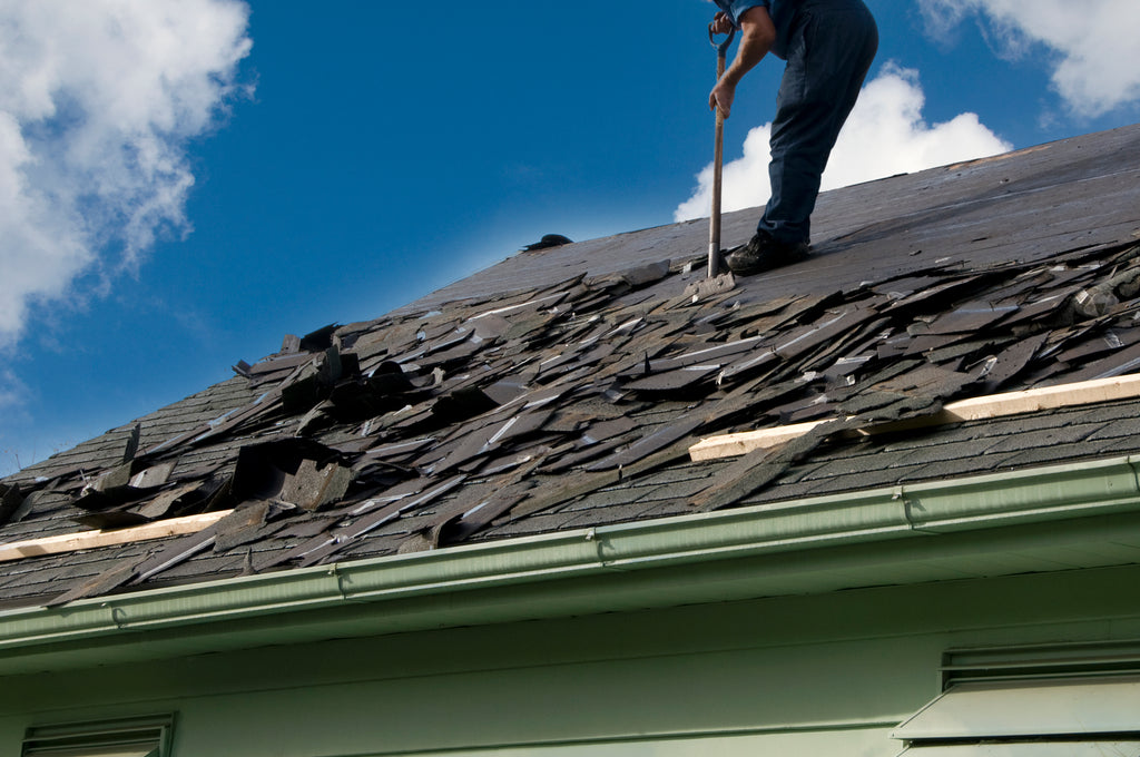 Planning for a new roof this Spring? Consider these 5 upgrades!
